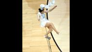 Red Panda (Image via Getty)